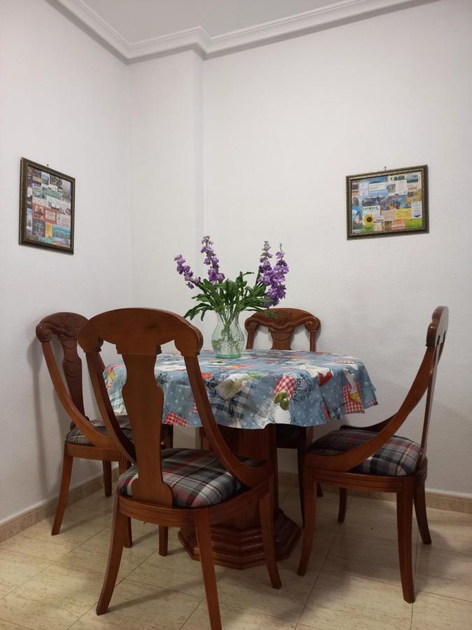 Apartment Manuel Galian 52 托雷维耶哈 外观 照片